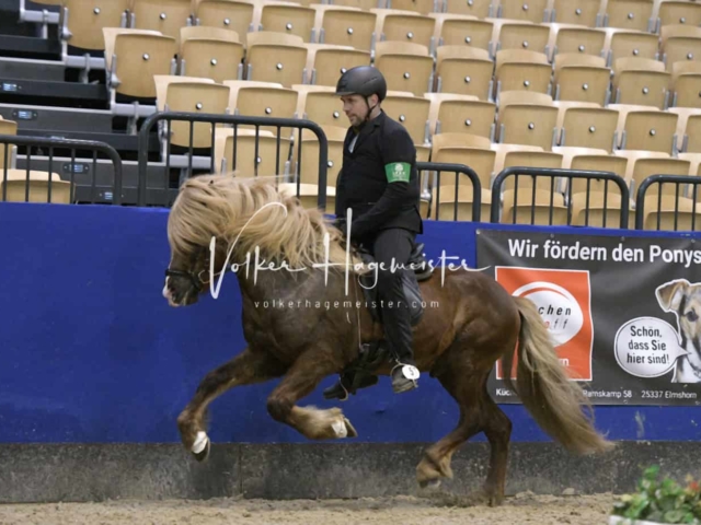 IPZV Samstag Prüfung 4 11