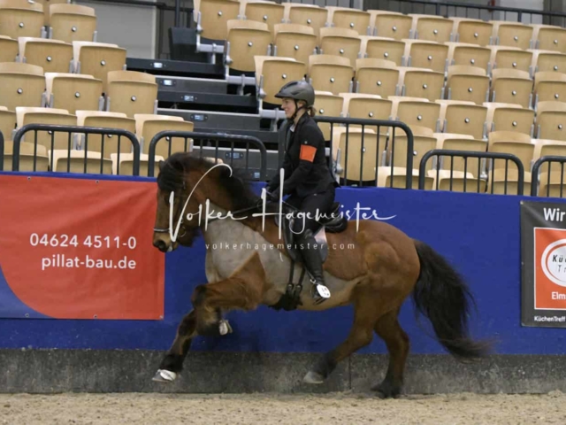 IPZV Samstag Prüfung 4 12