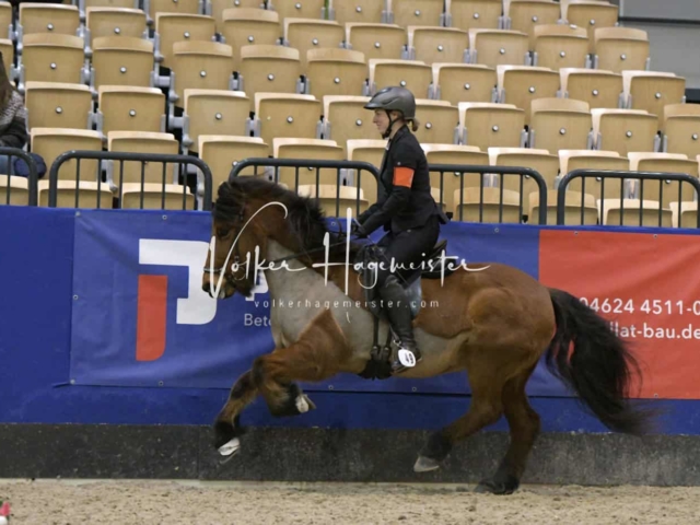 IPZV Samstag Prüfung 4 13