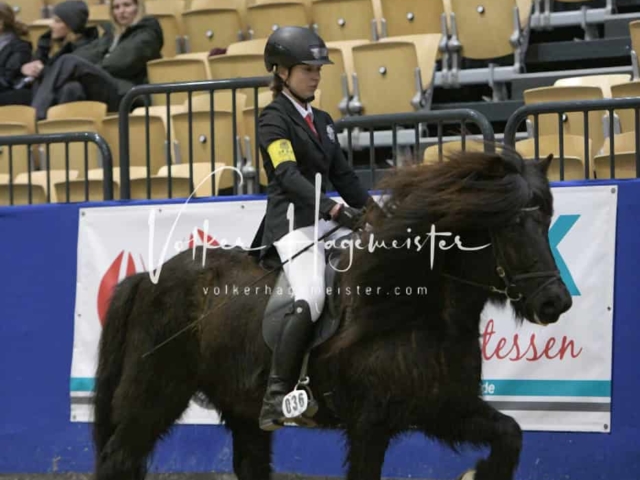 IPZV Samstag Prüfung 4 17