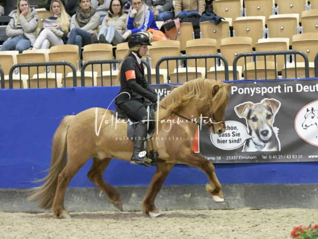 IPZV Samstag Prüfung 4 19