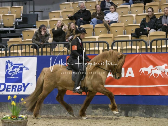 IPZV Samstag Prüfung 4 20