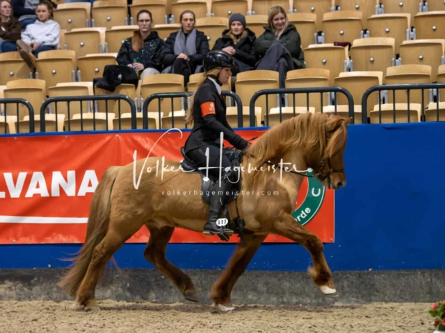 IPZV Samstag Prüfung 4 21