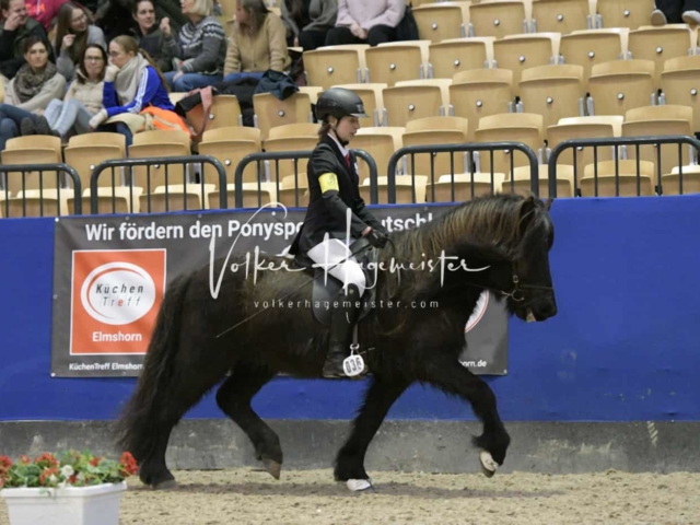 IPZV Samstag Prüfung 4 22