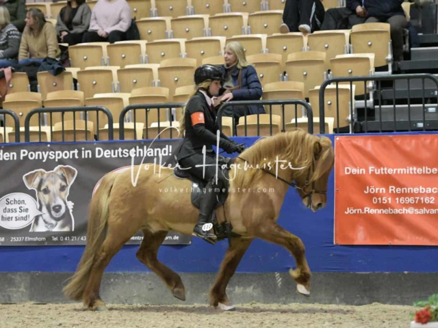 IPZV Samstag Prüfung 4 23