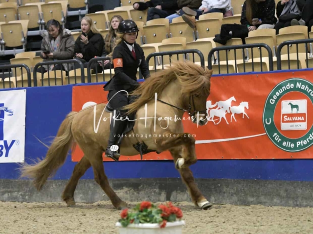 IPZV Samstag Prüfung 4 24