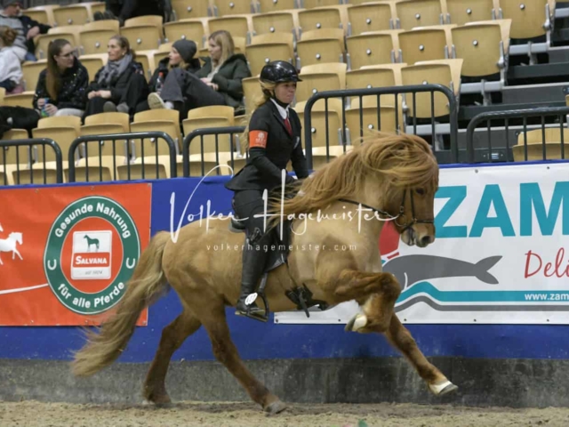IPZV Samstag Prüfung 4 26