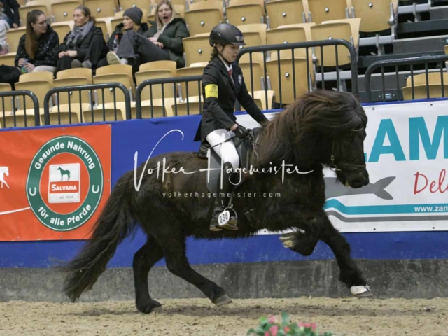 IPZV Samstag Prüfung 4 27