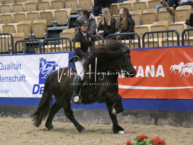 IPZV Samstag Prüfung 4 28