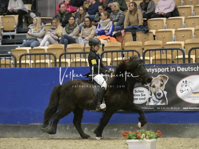 IPZV Samstag Prüfung 4 29