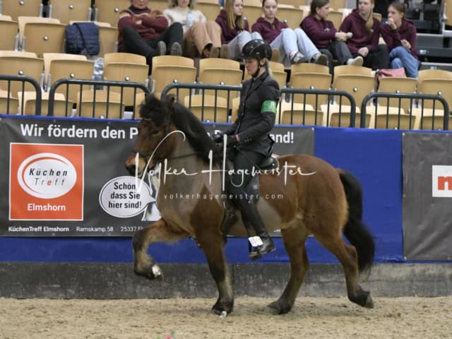 IPZV Samstag Prüfung 4 30