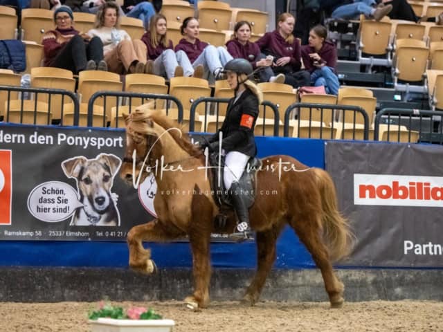 IPZV Samstag Prüfung 4 1