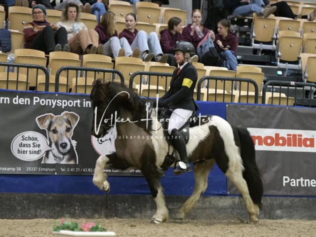 IPZV Samstag Prüfung 4 2