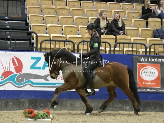 IPZV Samstag Prüfung 4 4