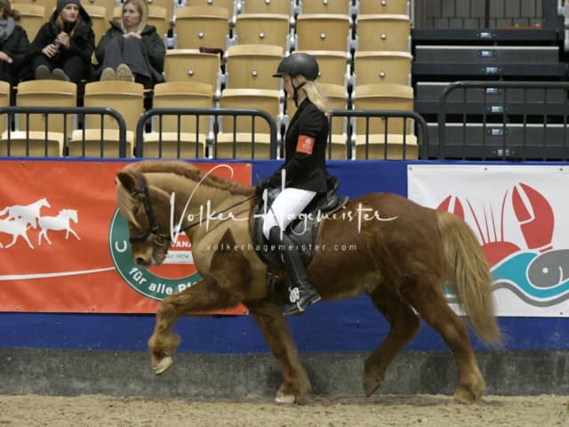 IPZV Samstag Prüfung 4 5