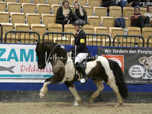 IPZV Samstag Prüfung 4 6