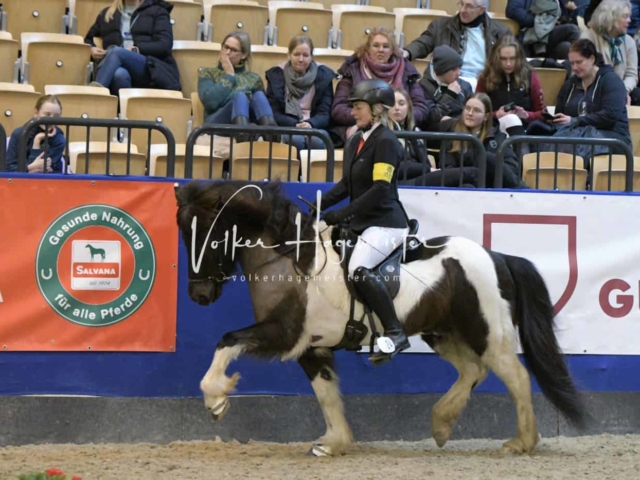 IPZV Samstag Prüfung 4 7