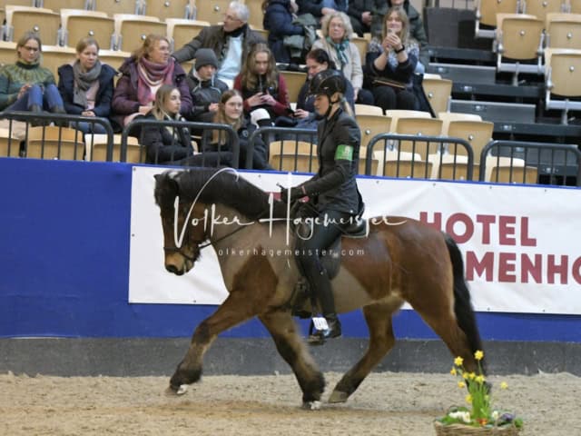 IPZV Samstag Prüfung 4 8