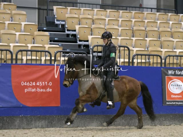 IPZV Samstag Prüfung 4 9