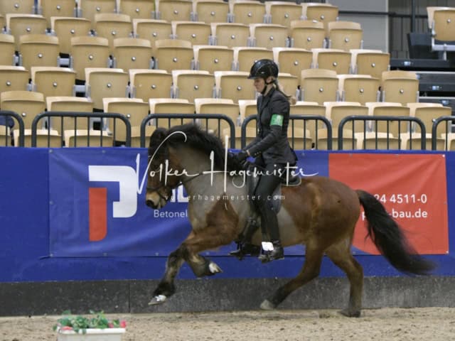 IPZV Samstag Prüfung 4 10