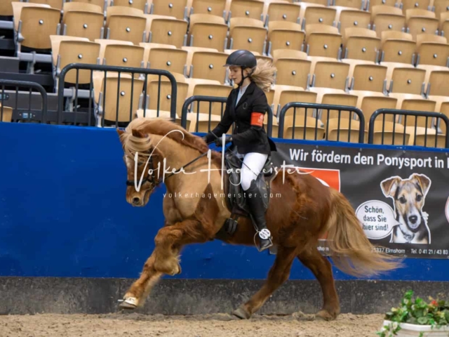 IPZV Samstag Prüfung 4 12