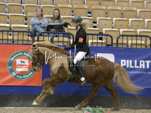 IPZV Samstag Prüfung 4 13