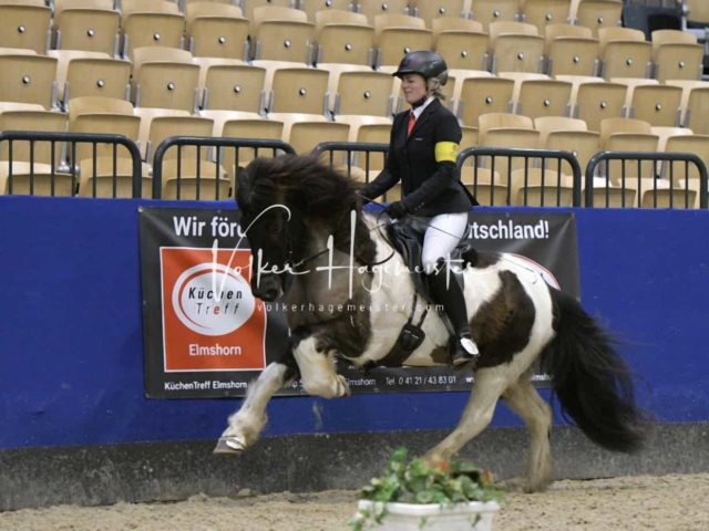 IPZV Samstag Prüfung 4 15