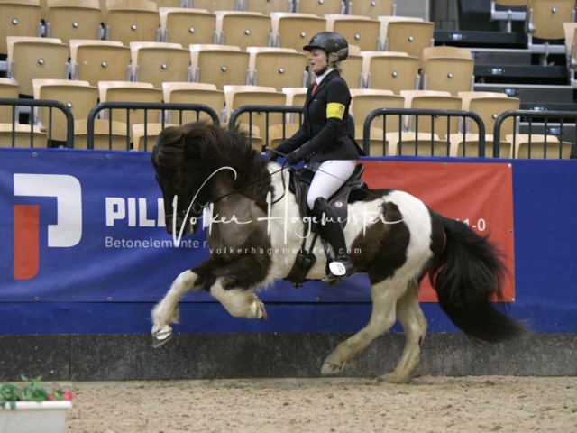 IPZV Samstag Prüfung 4 16