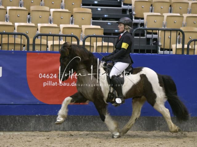 IPZV Samstag Prüfung 4 17