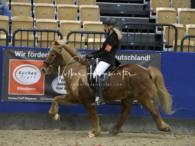 IPZV Samstag Prüfung 4 18