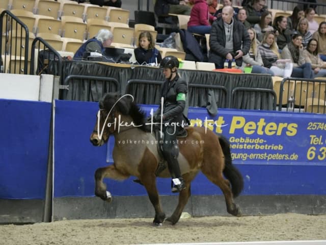 IPZV Samstag Prüfung 4 19