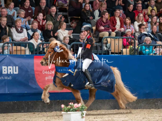 PSB Schaunachmittag 25