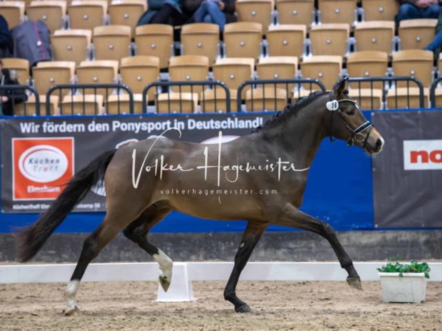 Impressionen PSB Samstag unsortiert 10