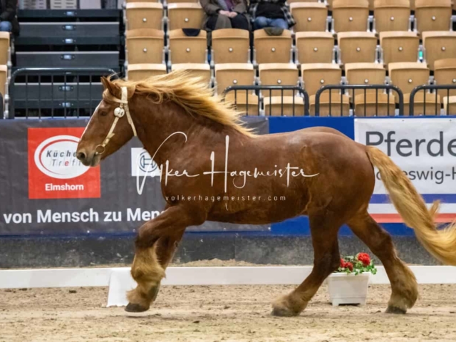 Impressionen PSB Samstag unsortiert 11