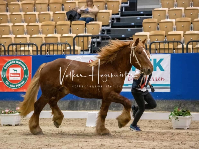 Impressionen PSB Samstag unsortiert 12