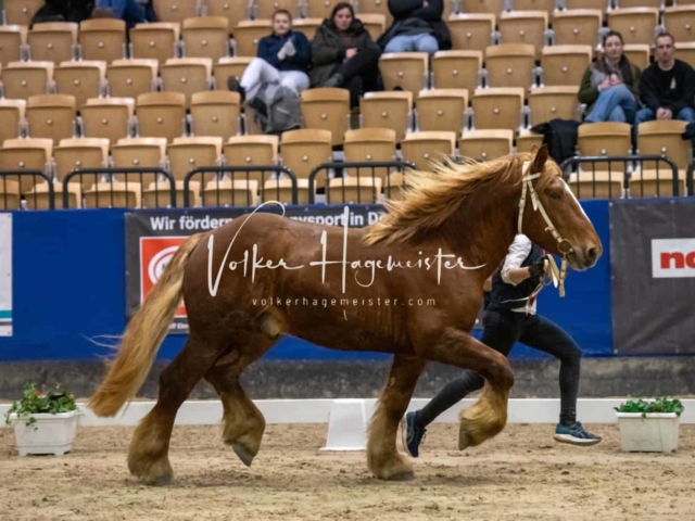 Impressionen PSB Samstag unsortiert 13