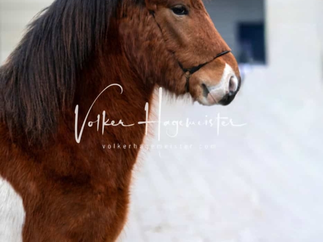 Impressionen PSB Samstag unsortiert 14