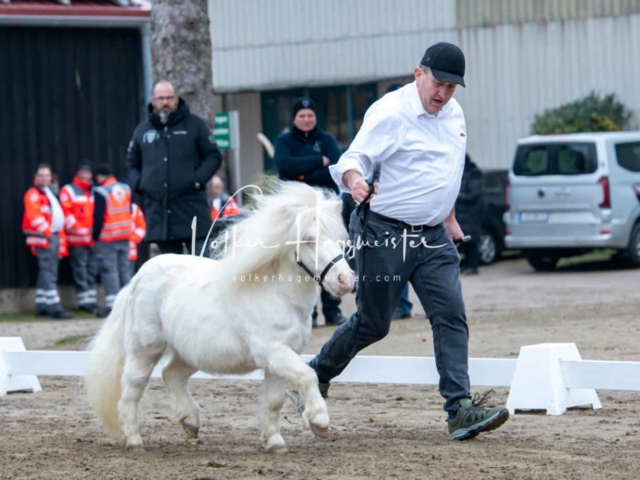 ZfdP Kranichstein Ponys 30