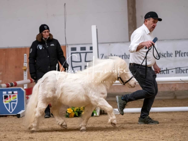 ZfdP Kranichstein Ponys 4