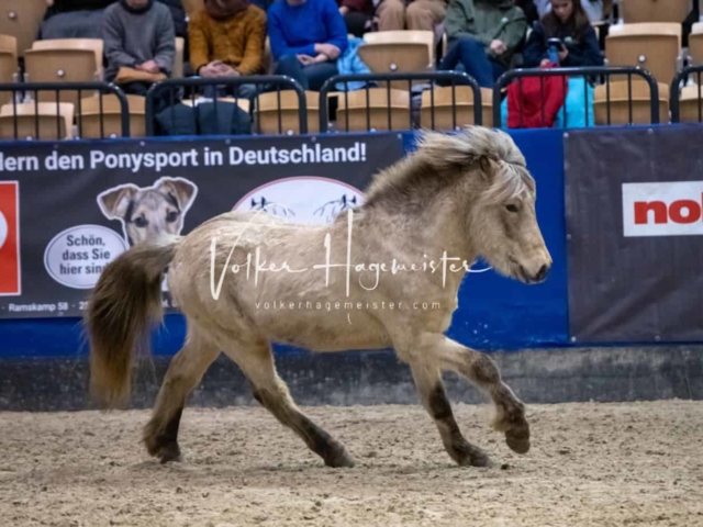 Impressionen PSB Samstag unsortiert 16