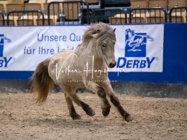 Impressionen PSB Samstag unsortiert 17