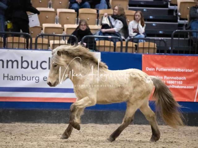 Impressionen PSB Samstag unsortiert 18