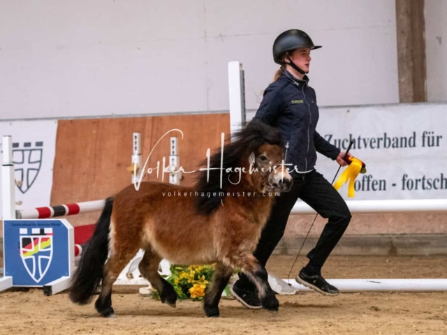 ZfdP Kranichstein Ponys 28