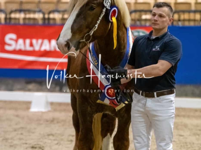 PSB Körung Schärpenträger 23