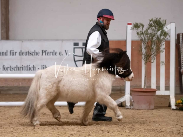 ZfdP Kranichstein Ponys 2