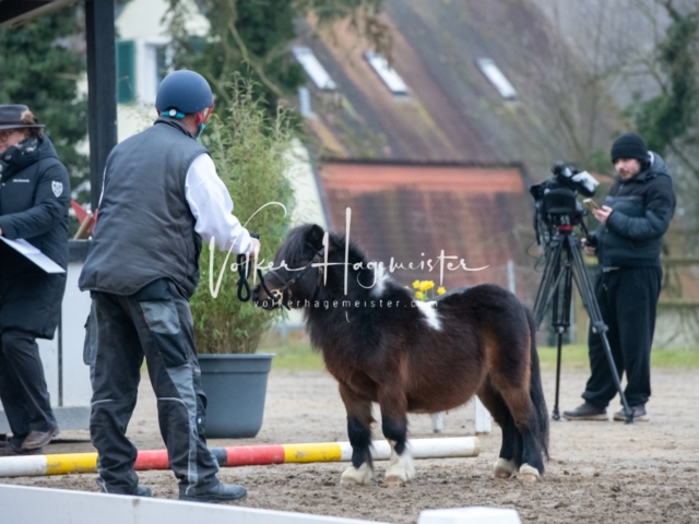 ZfdP Kranichstein Ponys 8