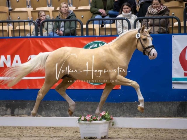 Impressionen PSB Samstag unsortiert 19