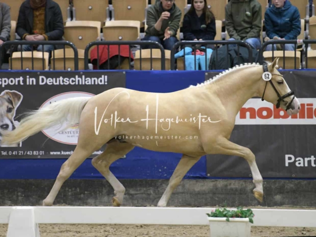 Impressionen PSB Samstag unsortiert 20