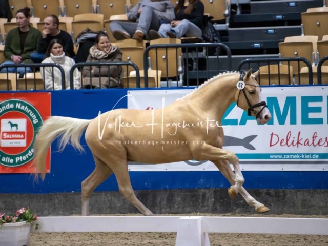 Impressionen PSB Samstag unsortiert 21