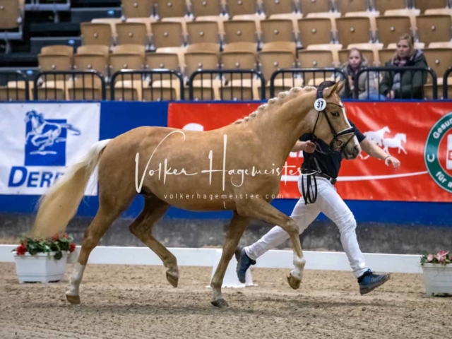 Impressionen PSB Samstag unsortiert 22